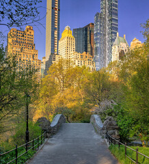 Gapstow Bridge in Central Park early spring