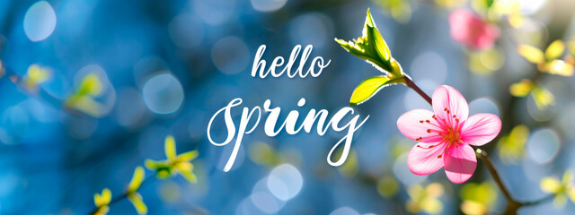 Hello Spring lettering Text against spring flowers background 