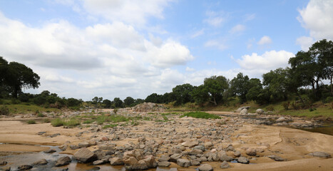 Afrikanischer Busch - Krügerpark - Mlambane River / African Bush - Kruger Park - Mlambane River /
