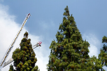 Horizontal image of two unmanned water canons on hook and ladder fire engines with pine trees in...