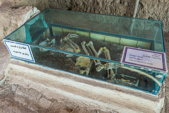 Kashan, Iran - October 18, 2016: Human skeleton in museum of Tepe Sialk archeological site in a suburb of Kashan