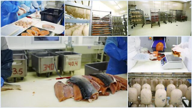 Several videos with process of producing fish products in factory, collage HD