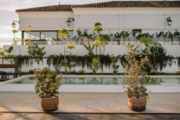 Sotogrante, Spain - January 25, 2024 - Terrace with potted plants, a reflective water feature, and...