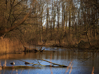Alter Eiderkanal bei Kiel