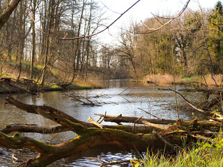 Alter Eiderkanal bei Kiel