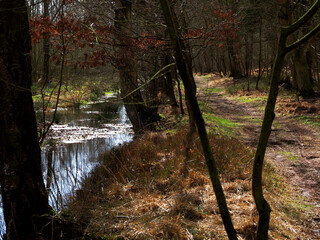 Felmer Moor im Frühjahr