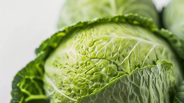 Close-Up of green cabbage isolated on white background. Healthy vegetable concept.