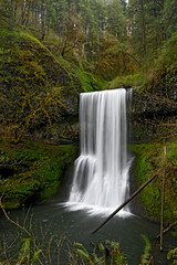 20230505 Silver Falls State Park in Oregon, Lower South Falls in spring _DSC_7987