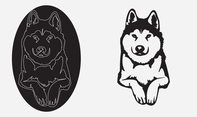 Siberian Husky Color Peeking Dogs. Color image of a dogs head isolated on a white background. Dog portrait, Vector illustration