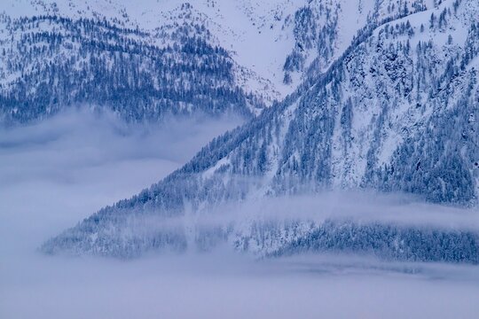 Snow-covered mountains with wafts of mist between the treetops, Belalp, Naters, Brig, Canton Valais, Switzerland, Europe