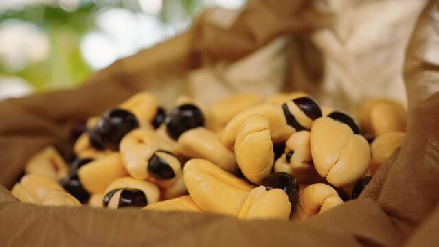 Ackee picked from shell in bag