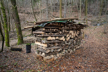 Large cut and split logs outside for drying by the forest.