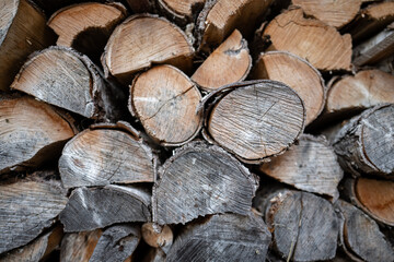 Drying wood stacked on top of itself.