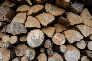 Drying wood stacked on top of itself.