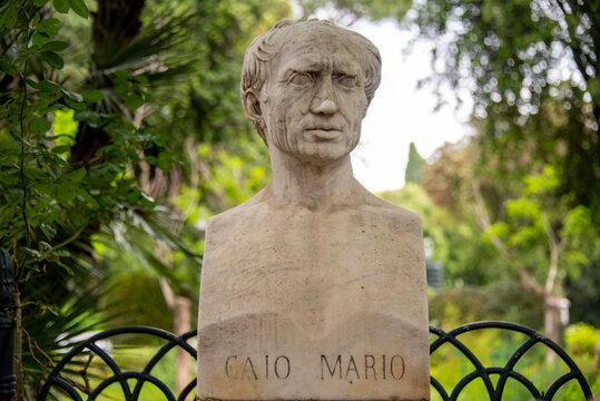 Bust of Roman General Gaius Marius (Caio Mario)