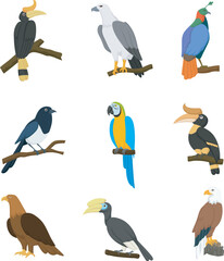Set of cute birds cartoon collection