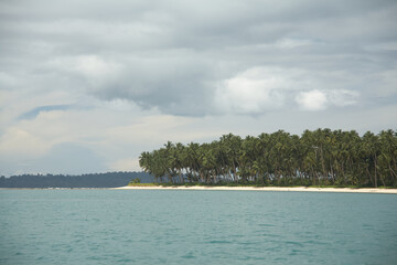 Island covered with palm trees