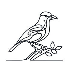 The bird doodling vector logo illustration png
