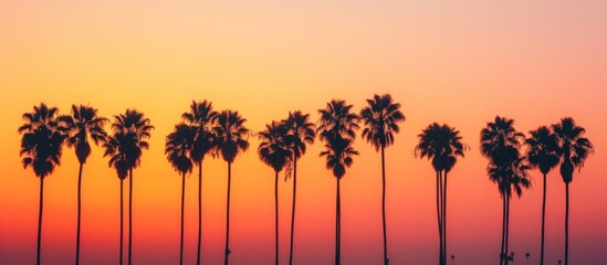 Palm tree outlines against sunset sky - obrazy, fototapety, plakaty