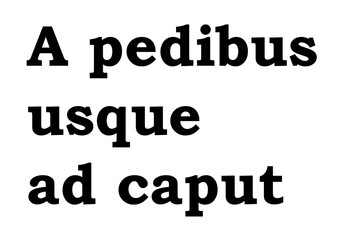 A pedibus usque ad caput. Latin phrase