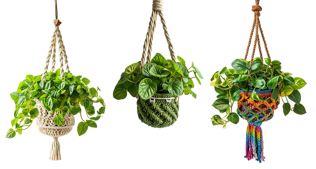 Three crocheted macramé bohemian potted plants over isolated transparent background