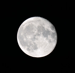 August 2nd 2023 Supermoon
Exposure 1/250
Focal Length 600 mm
ISO 250
F 6.3
 - obrazy, fototapety, plakaty