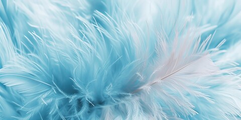 Fototapeta na wymiar Captivating Elegance: Explore the Delicate Charm of Feathers Up Close - Macro Photography for Serene Wallpaper or Backgrounds