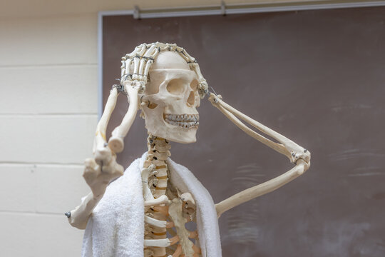 Skeleton with white towel over shoulders and showing emotion with both hands on head as if showing stress, disbelief, or worried. 