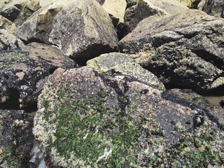 rocks 7