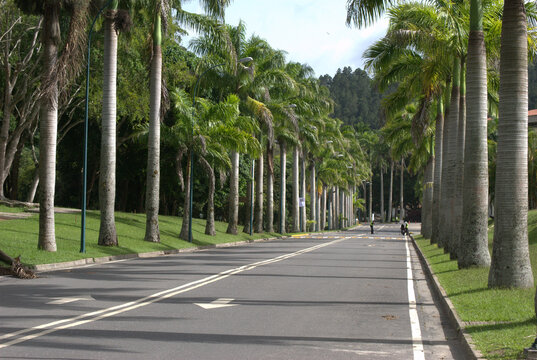 Parques que dan  oxigeno a nuestra ciudad.