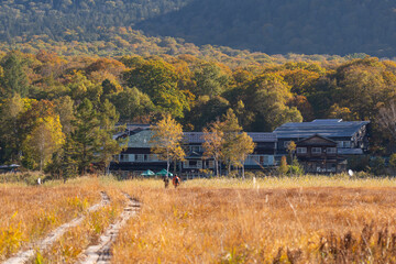 尾瀬ヶ原から燧ヶ岳の裾野の紅葉と彌四郎小屋を眺めに木道を歩く