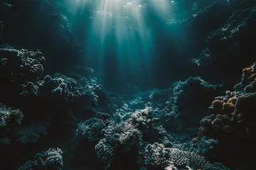 Schilderijen op glas Underwater view of coral reef with sunlight shining through water surface. © Jioo7