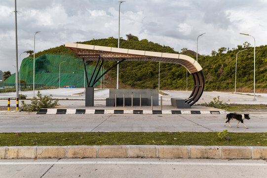 Modern bus stop with innovative design in a developing area, with a stray dog passing by, contrast between development and daily life
