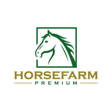 Horse farm logo design vector template