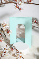 Podiums with blooming branches on table near white wall. Hello spring