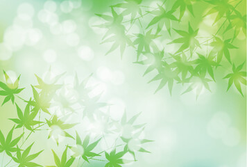 もみじ　新緑　暑中見舞い　背景