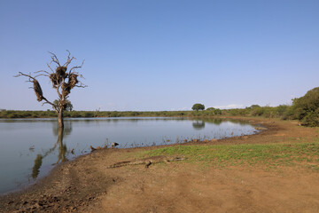 Afrikanischer Busch - Krügerpark - Sunset Dam / African Bush - Kruger Park - Sunset Dam /