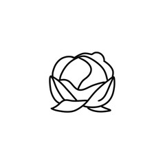 Cabbage icon