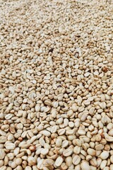 Close up of coffee beans for background                                                               