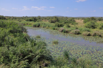 Ntandanyathi River - Krüger Park - Südafrika / Ntandanyathi River - Kruger Park - South Africa /.