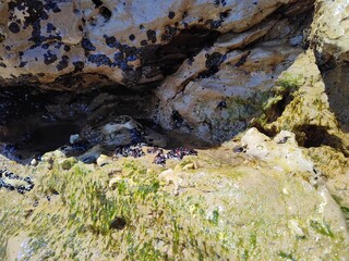 rock beach 