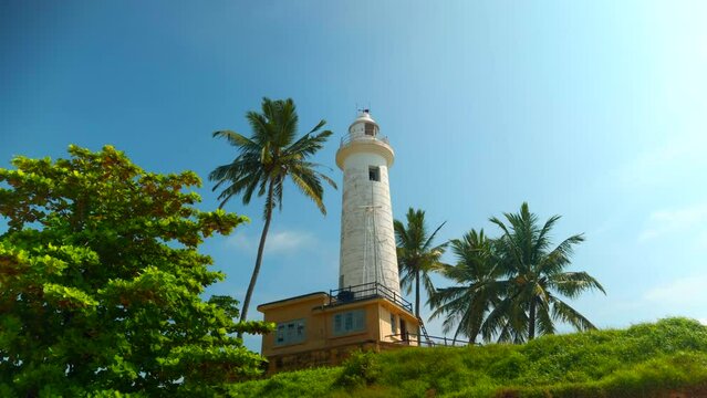 A lighthouse in the middle of a tropical jungle. Action. Green vegetation at summer resort.
