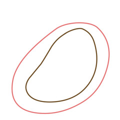 Minimalist Outline Shape Organic 