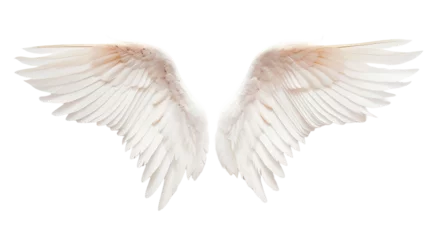 Fotobehang Angel white wings on transparent background © maretaarining