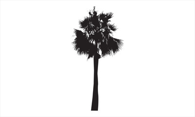 Palm Tree silhouette vector artwork design element
