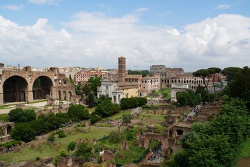 Fototapeta na wymiar Landscape of Roman Forum - Rome, Italy
