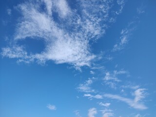 東京のそら(24.2.1)