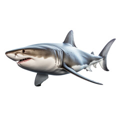 A full body of a shark  on transparency background PNG