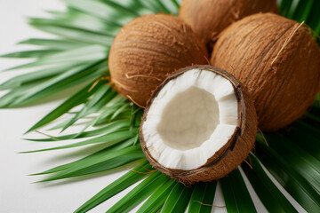 Coconuts and green coconut leaves on white background - 725251824