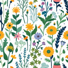 Vector seamless pattern with hand drawn wild plants, herbs and flowers, colorful botanical illustration, floral elements, hand drawn repeating background. Wild meadow herbs, flowering flowers 